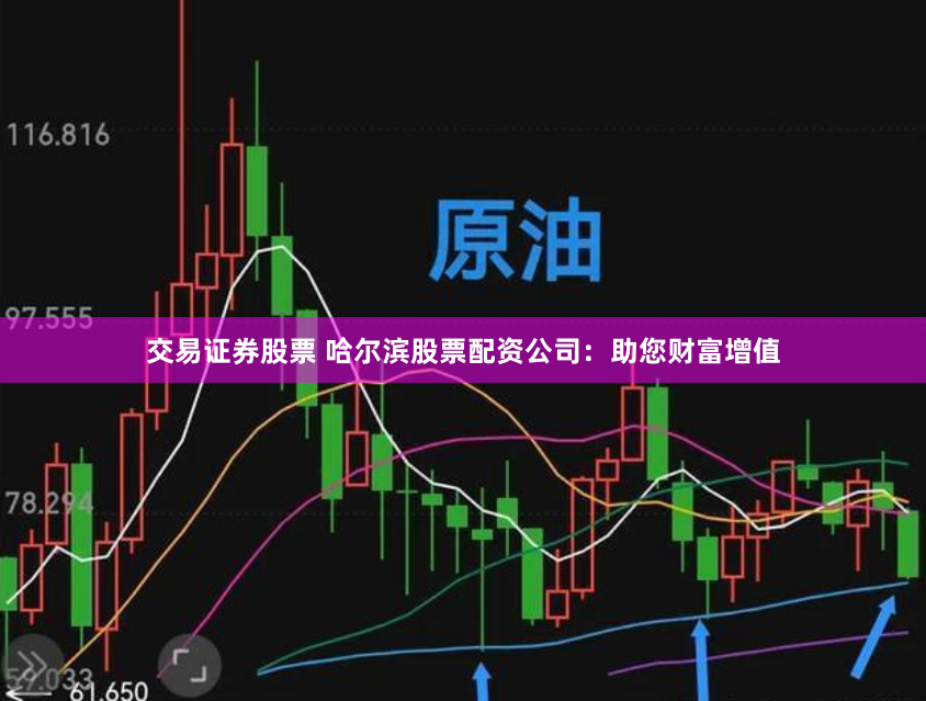交易证券股票 哈尔滨股票配资公司：助您财富增值