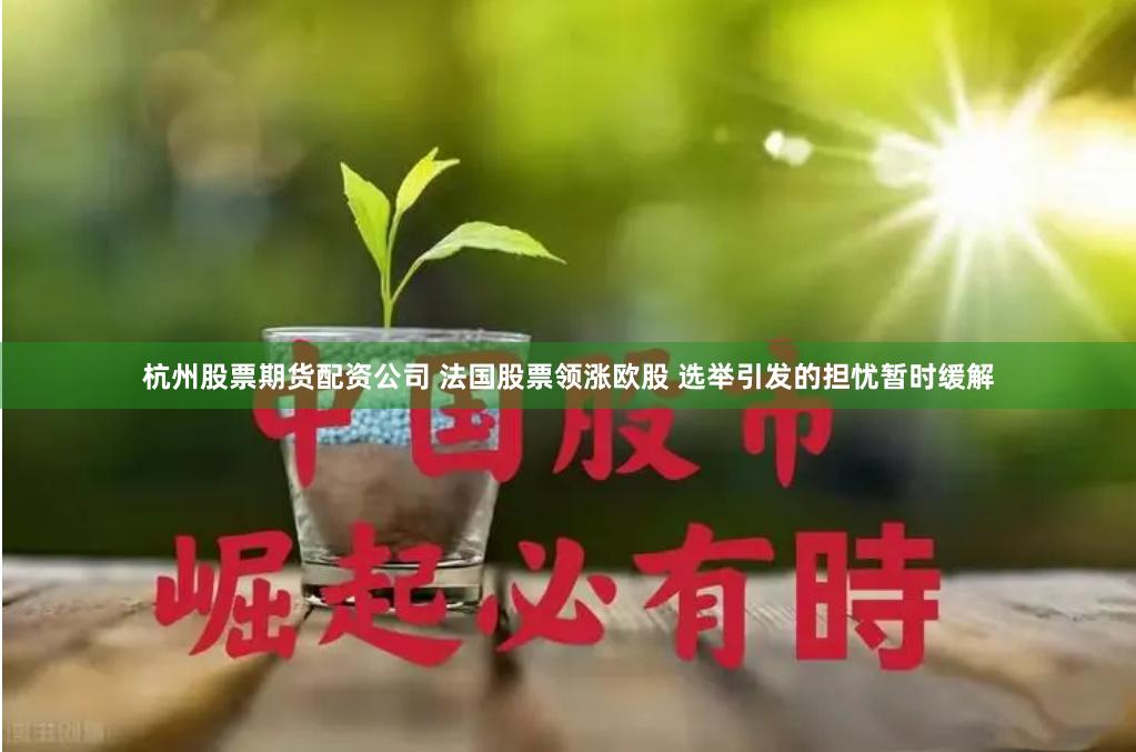 杭州股票期货配资公司 法国股票领涨欧股 选举引发的担忧暂时缓解