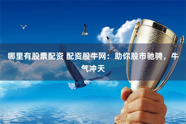 哪里有股票配资 配资股牛网：助你股市驰骋，牛气冲天