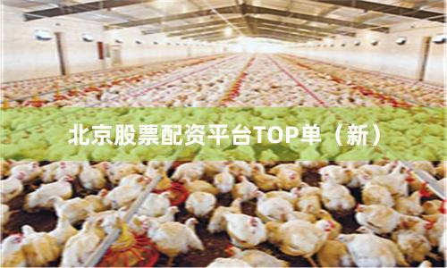 北京股票配资平台TOP单（新）